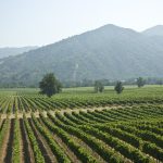 Santiago & the Central Valley