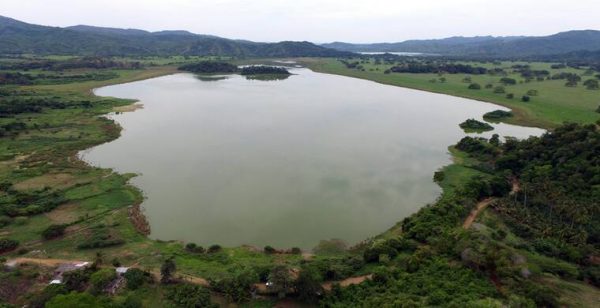 exp_153_main_image Tocagua Swamp Inmersion - Image 1